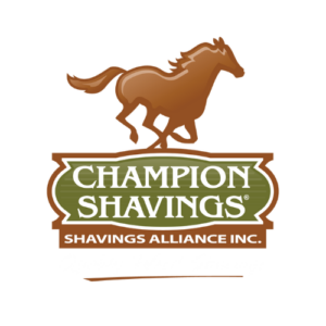 Champion Shavings